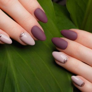 Tender neat manicure on female hands on a background of green leaves. Nail design
